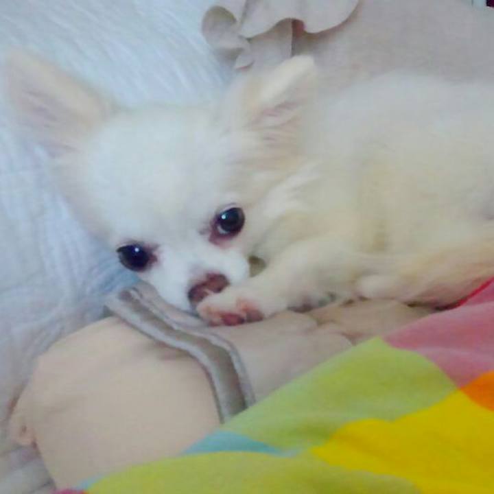 4beabbab 1832 4bcd 8604 9bec9c3f193a 1531711147459