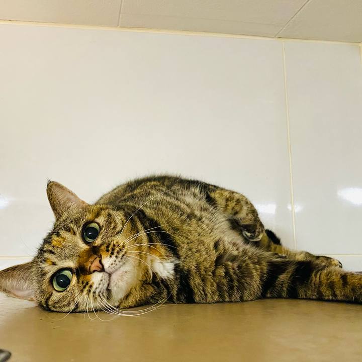 4beb1794 1a99 451d bbb7 3e5c2e056e59 1673389045026