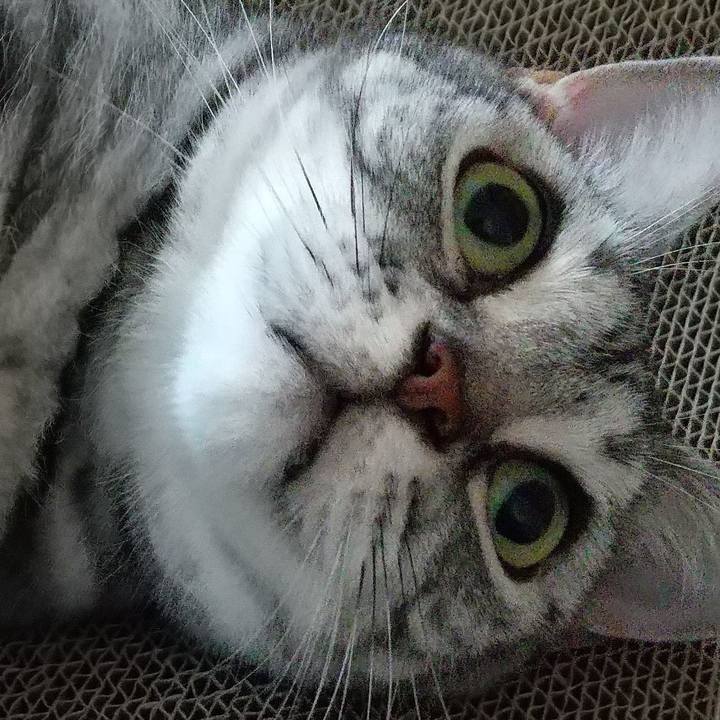 4beb2e3b bbdc 46dd 8dee eee9cdc0a57f 1693009422186