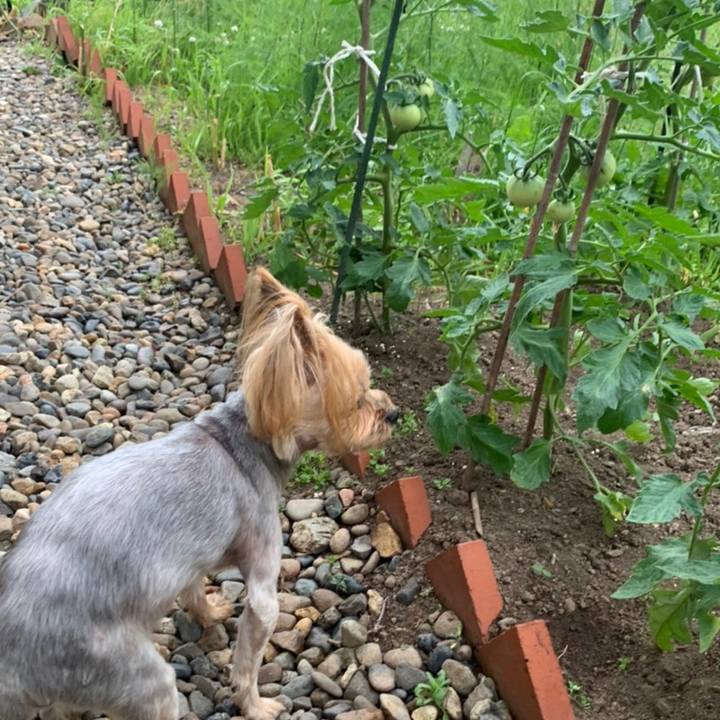 4beb3c31 2b6e 4757 b444 8947be179c80 1623919878252