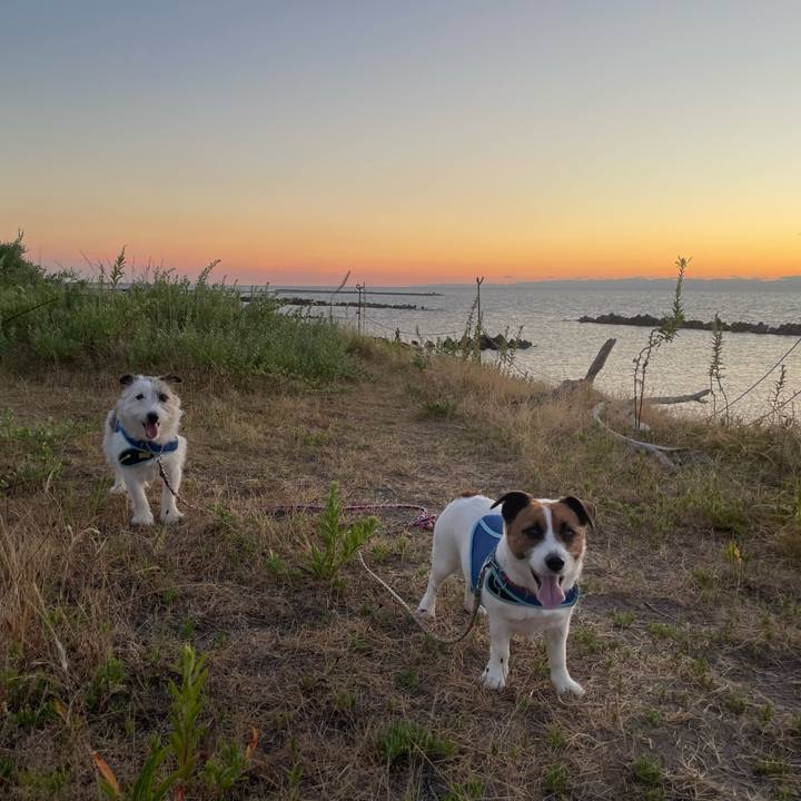 4beb6a15 a2ed 467f 83b5 fd68bc41462e 1753790559276