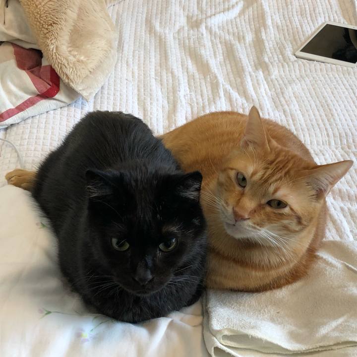 4beb7018 a286 46e8 9196 7ec55d911997 1574563259746