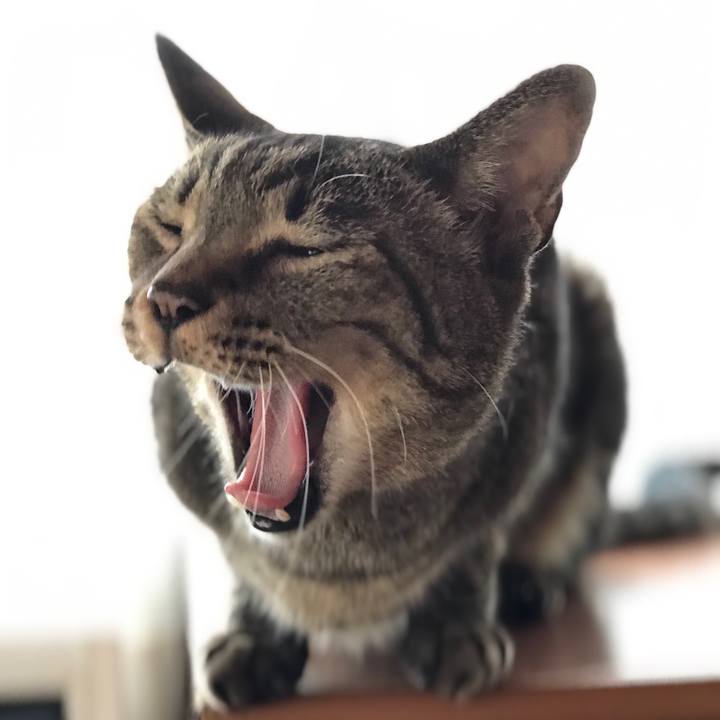 4bebd0d3 ed56 4cf7 8714 1f16cc107b80 1530062795232