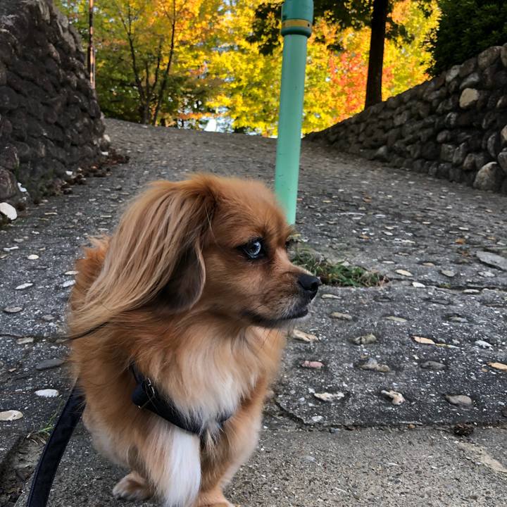 4bec514e 3387 4bcc 9ffe 1733fc95dc78 1569362024459