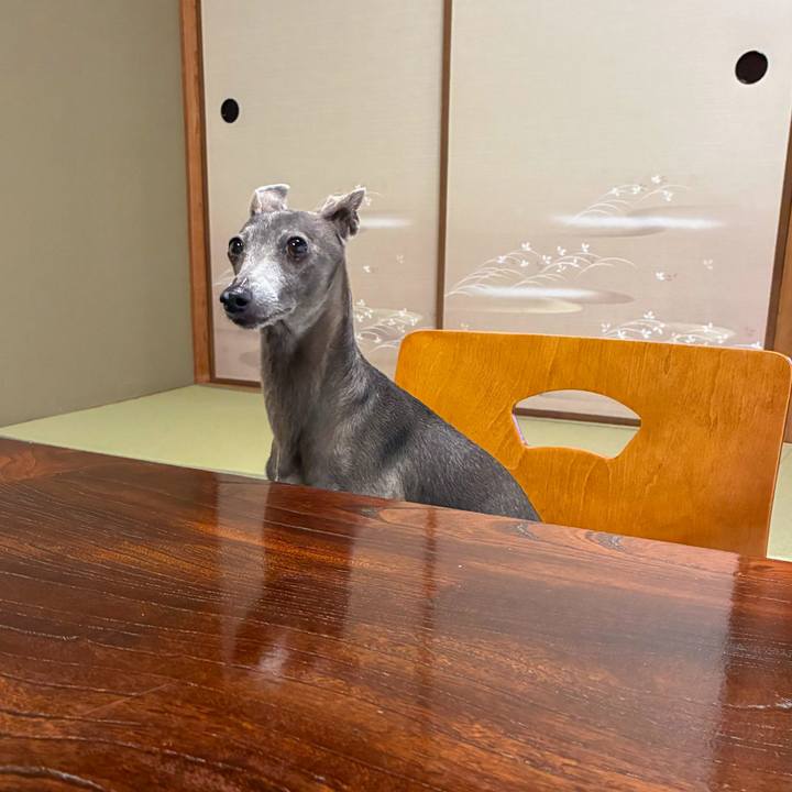 4bec5716 d06f 4ed9 a9e7 601c301a7664 1761379640845