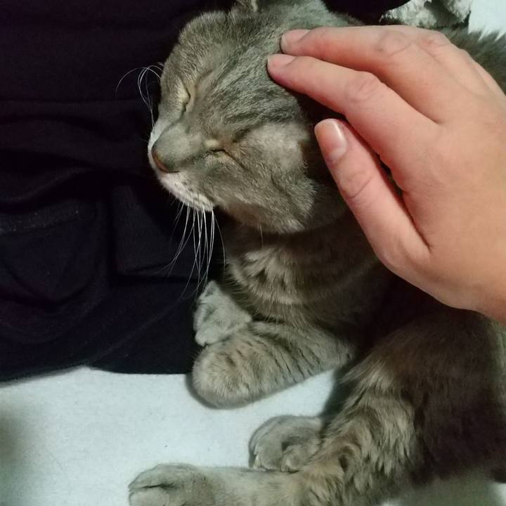 4bec7023 96bc 471a aaf3 1bab4c4faeaa 1673603833990