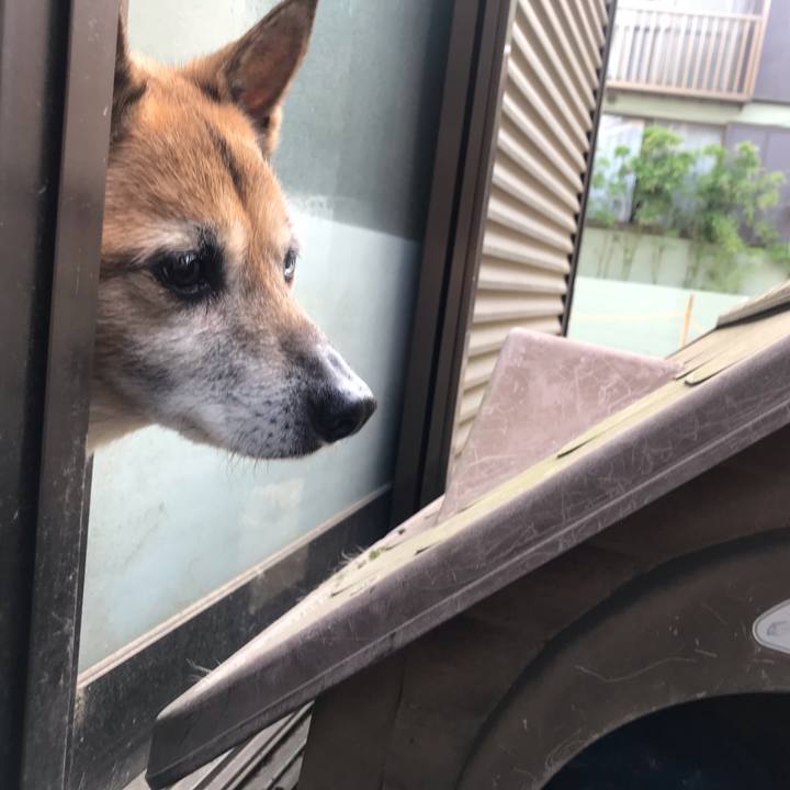 4bec838c 5b02 43a0 8437 d24e0ccf044e 1557645129967