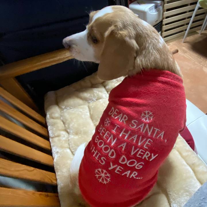 4becb9a9 90e5 4360 a9a3 c21301d336f5 1608461991115