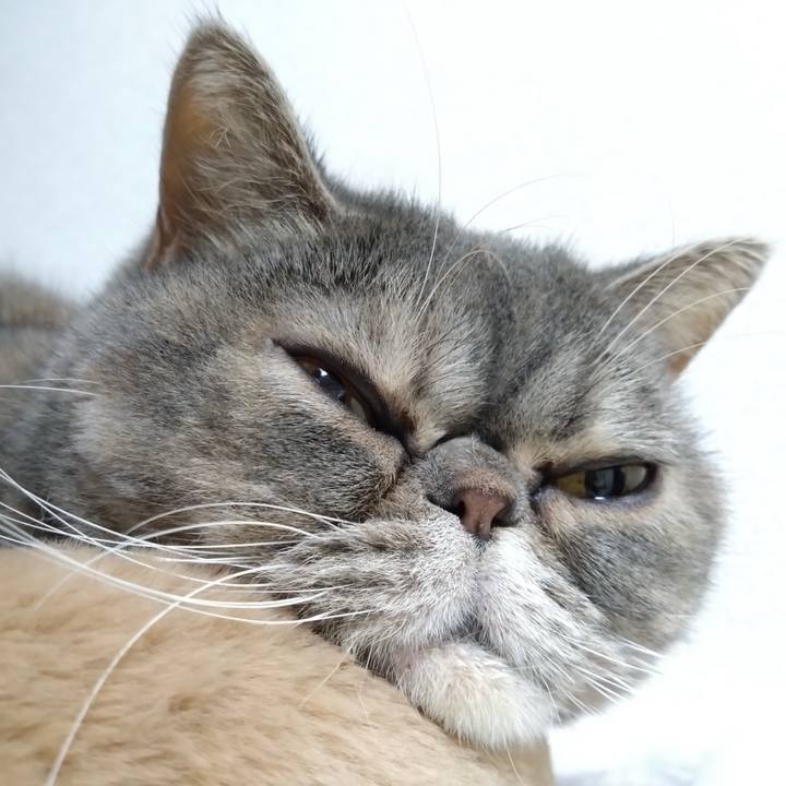 4bece094 fecc 4e0c 940a 8405b69e4877 1769233962898