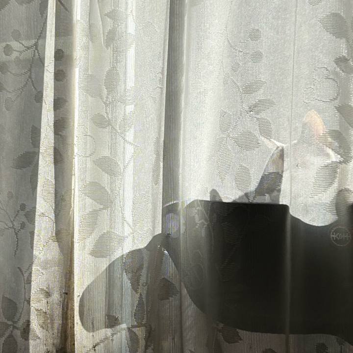 4bed0d14 f126 4393 9754 a7f4242f3230 1771640424017