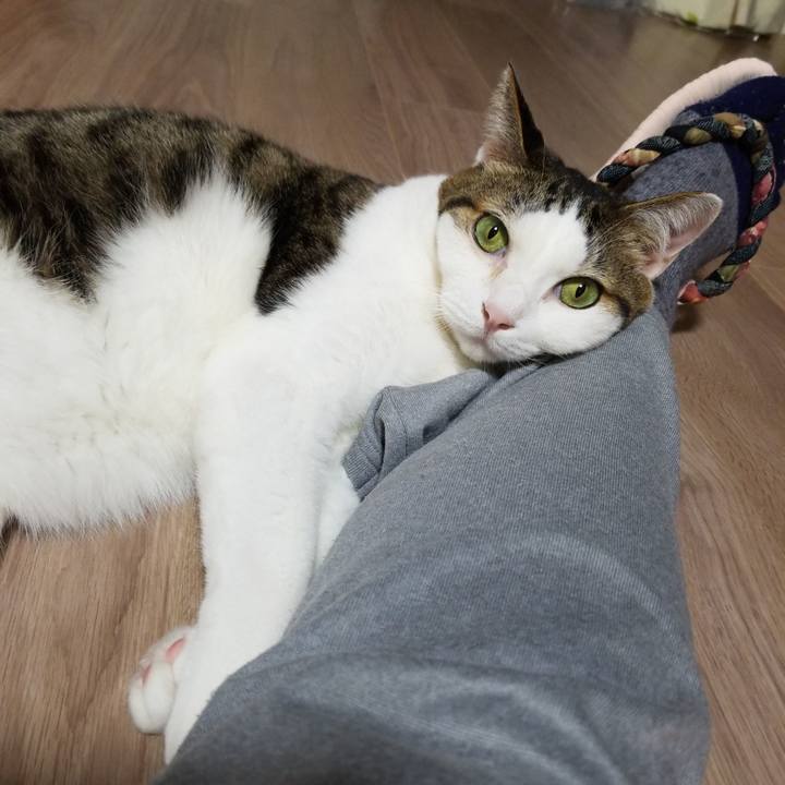 4bed181b 7aec 4ddc 86b9 3a40820d7a92 1574370932290