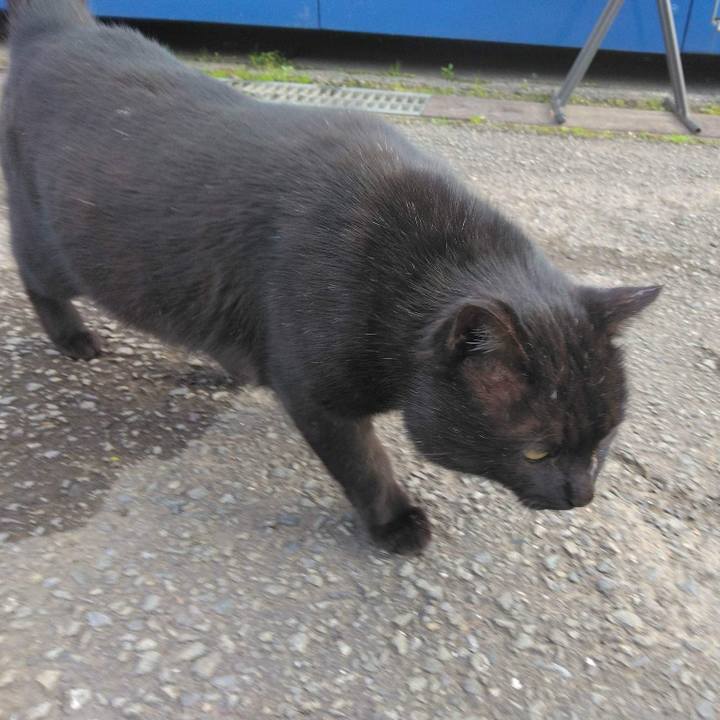 4bed3b04 f697 40c0 8564 e5b78bb6bee2 1670584090216