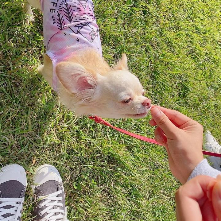 4bed4b43 8a31 411a 9691 737b79154cff 1633246932539