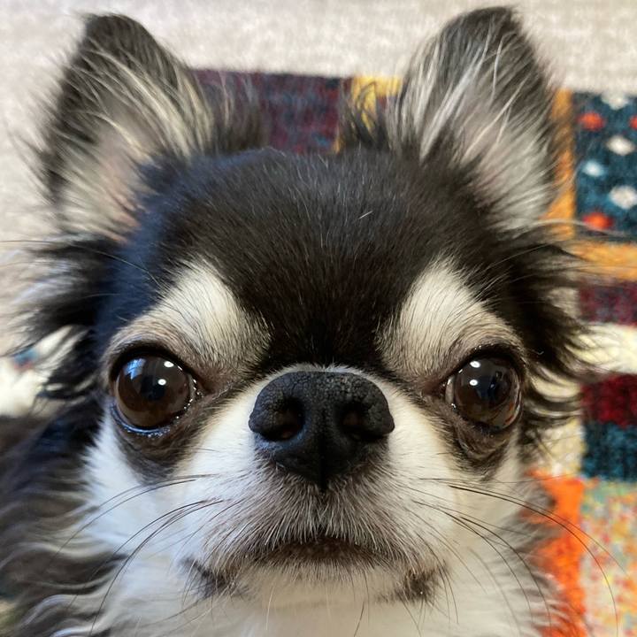 4bedb789 f2ec 405a 8383 68a6fe78abd1 1691272725422