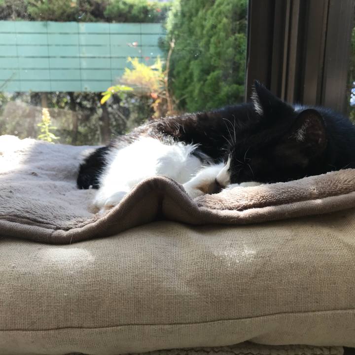 4bede83d 7fba 4e37 b9f5 d7a71168e616 1512975043582