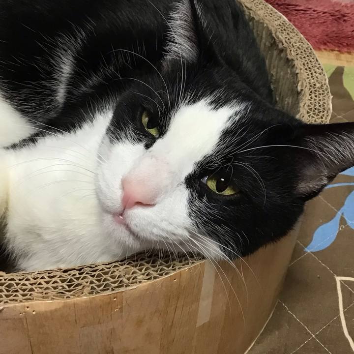 4beded19 ede0 42d8 8dc6 a6269d043909 1733874380113