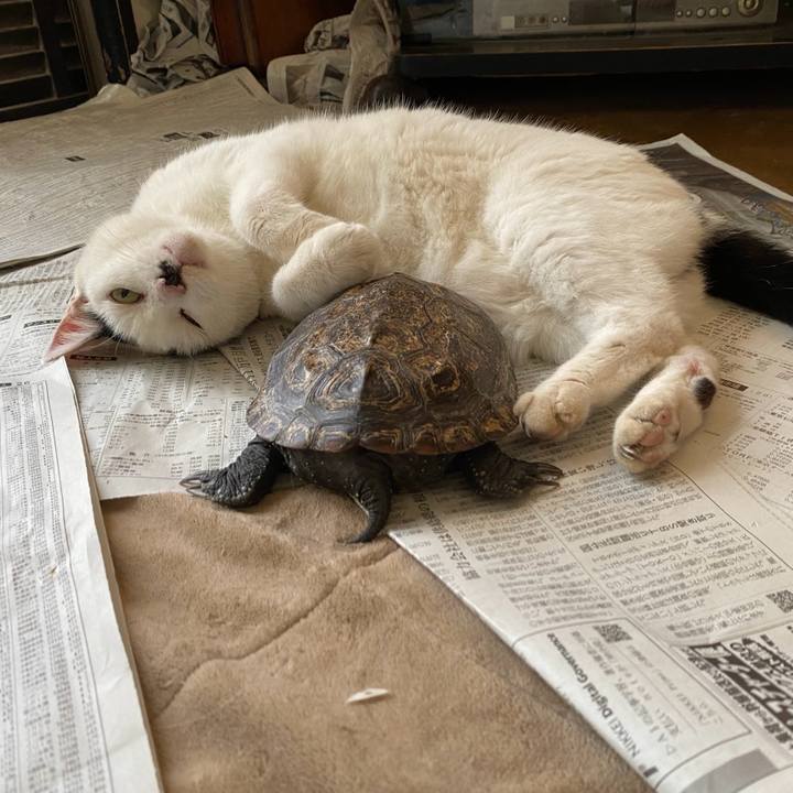 4bee157d 8a96 4687 a3a7 ff0fe2f23dcc 1753252458223