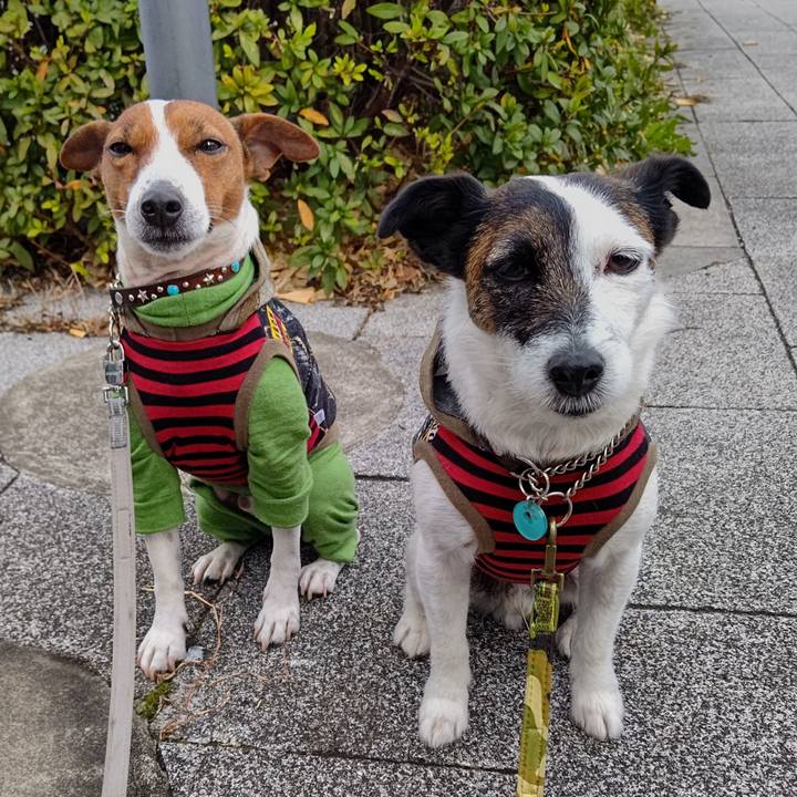 4bee49ef 000f 46f2 9fa9 06b34254e6c0 1674084427133