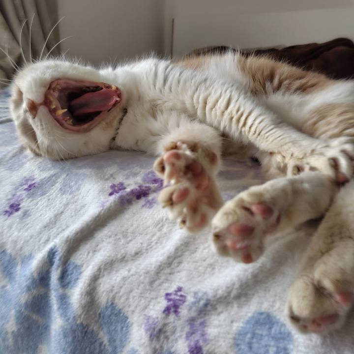 4bee4bdf 0ac7 48c2 984c 790b95309b88 1729906812944