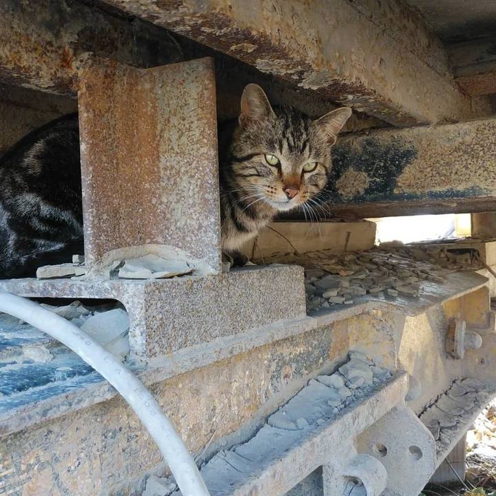 4beea962 3dca 40d2 ae9f 06d7ec1c0075 1585891151121