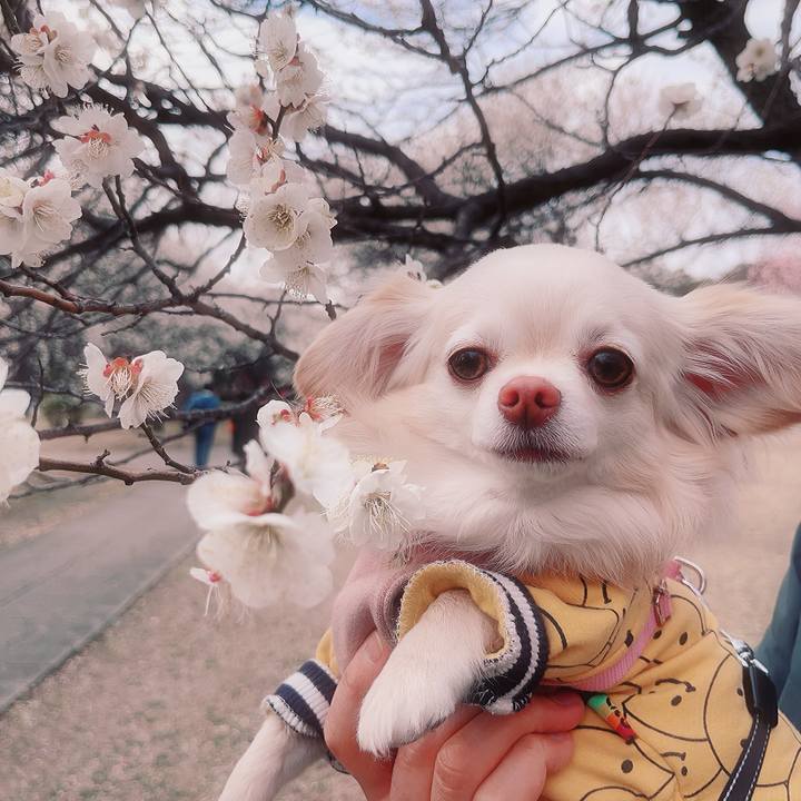 4beea986 b3bf 4f79 8630 9a807d5a0a38 1708151190999