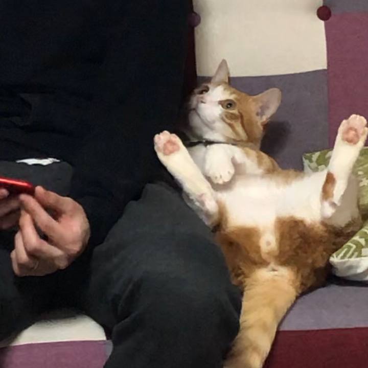 4beeb7b4 b3d5 4bd3 9c5b 704f531f9d90 1557666619591