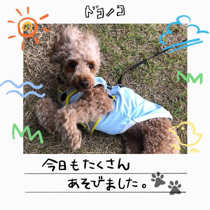 4beecf57 f1df 4e0a 98cc cce1c6a703f7 1755345784057