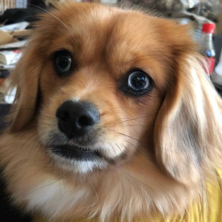 4beee8ac 1e9a 4f0e bb3c 7f3202e34f6a 1514767630947