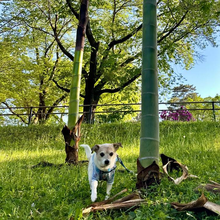 4bef309c 7b1f 4101 96f8 172f12df6956 1714732510378