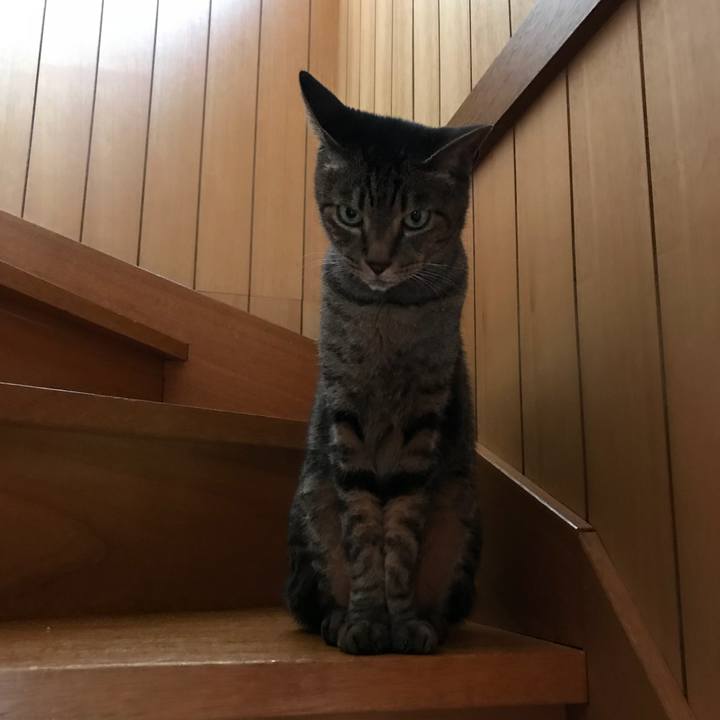 4bef3c0c da9e 4f50 9da4 2d49bd027b16 1532649069960