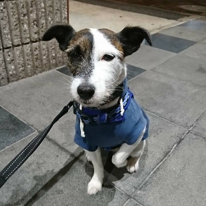 4bef4bda e155 42c8 b88b a76054b22af3 1540295295357