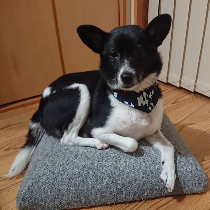 4bef99f2 cca5 4db3 87f1 bbf395751927 1640780258834