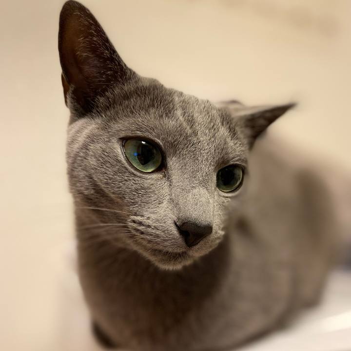 4befcc9f 5465 4b89 9345 86d28bcdbb54 1651707142937