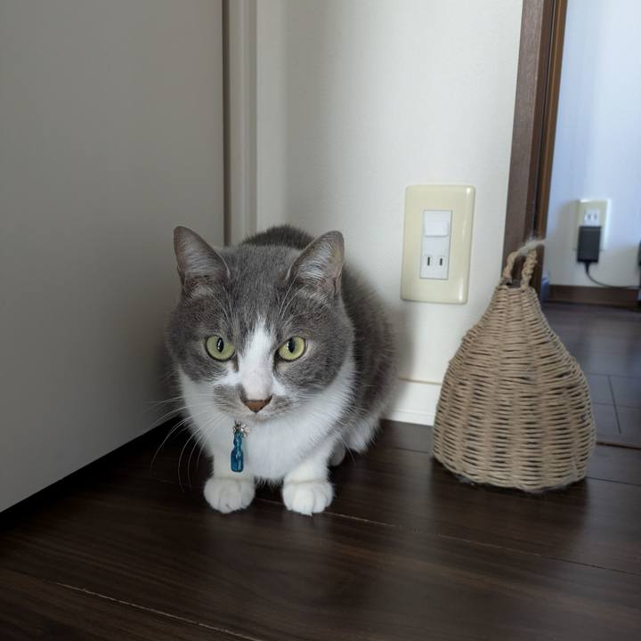 4bf00659 e16c 4c60 9bac a40d8bf671a5 1766717765227