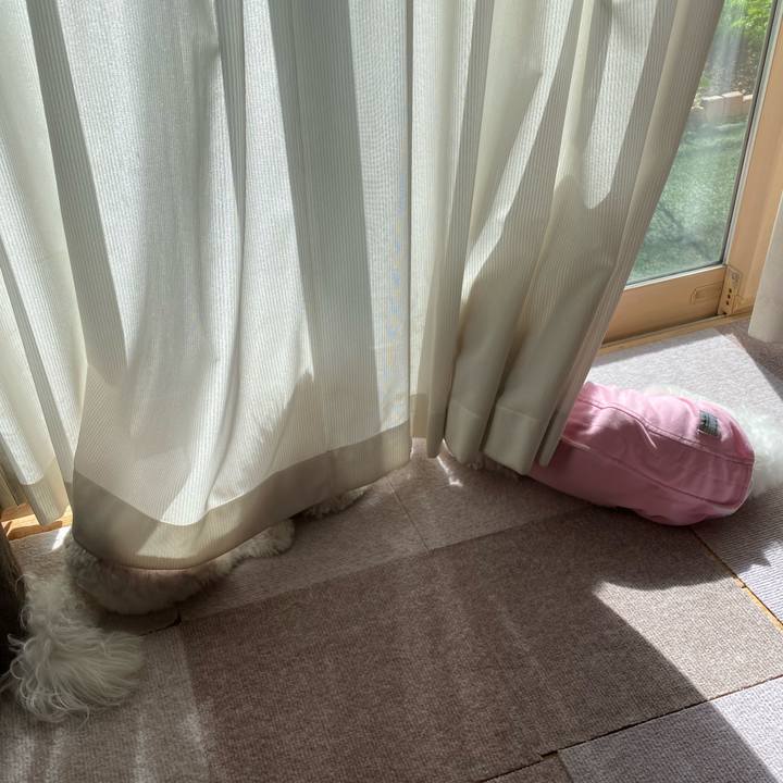 4bf06980 4505 4000 967d 53bf643f9af0 1761617300506