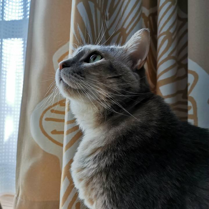 4bf089eb 6d09 4e19 9c32 1a526292e163 1675488474449