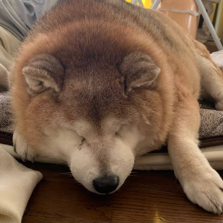 4bf08ce2 10ab 483c 9b37 72ccf44cd8c8 1644557277214