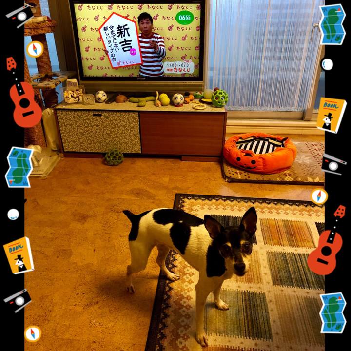 4bf096e9 8d9f 4477 900a 4ff1b70d6016 1548626943499