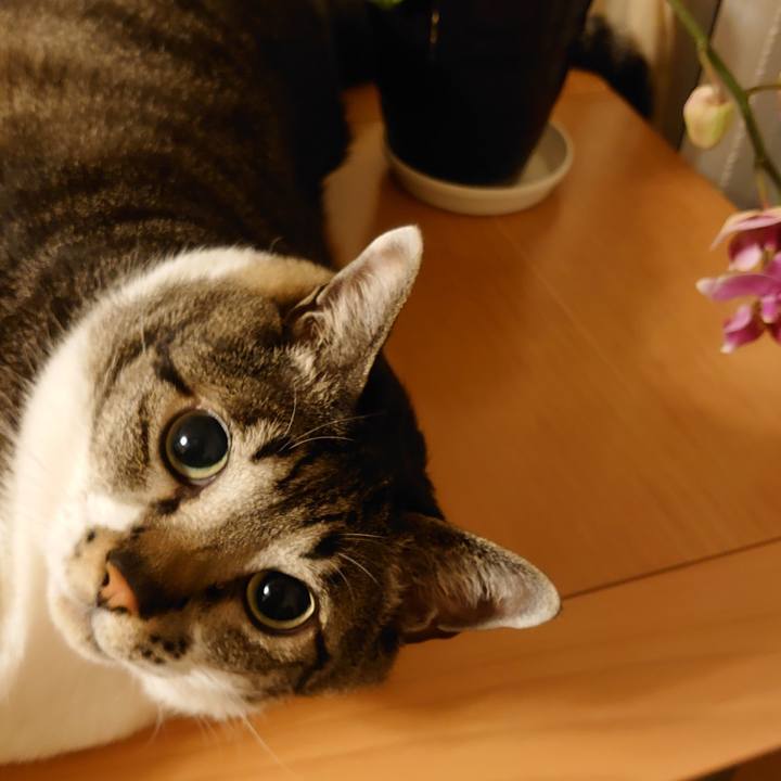 4bf11572 70b7 4ca0 b811 6e4b956117c7 1620974219155