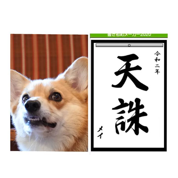 4bf1334a dd8e 4600 9bf3 681f4d27f682 1577981252828