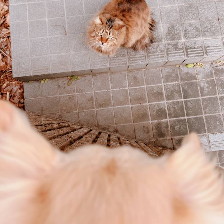 4bf141ee 40bb 4253 ada6 169049e6d669 1675685502367