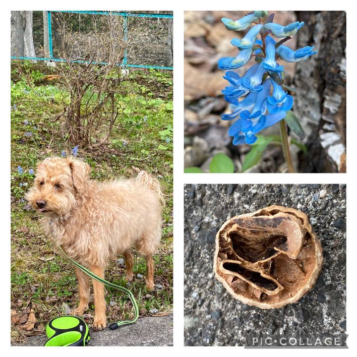 4bf164ef 5a31 4252 8e2b 8caec18325f7 1620255563463