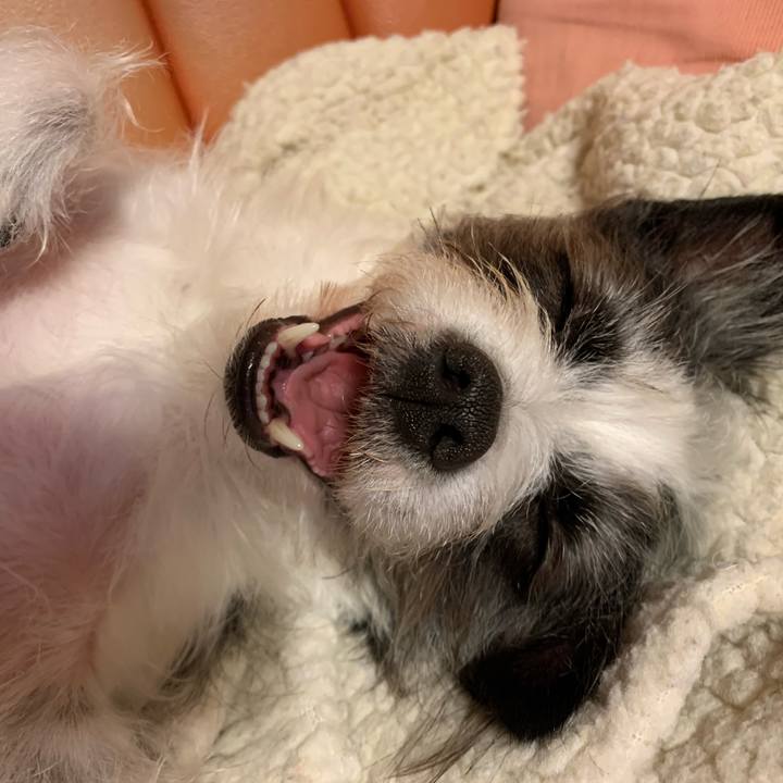 4bf191b2 0c37 472c 9726 d69bbe8efcb5 1582292168442