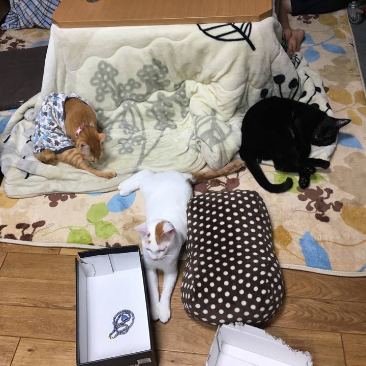 4bf1920d be8d 443b a587 d43c30a13ef7 1512639608883