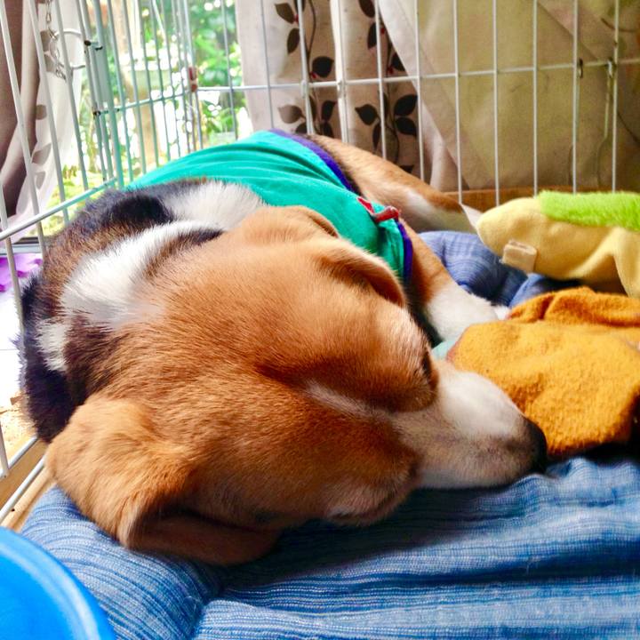 4bf1a807 b4c6 49a8 98e7 329f61c33804 1751254707700