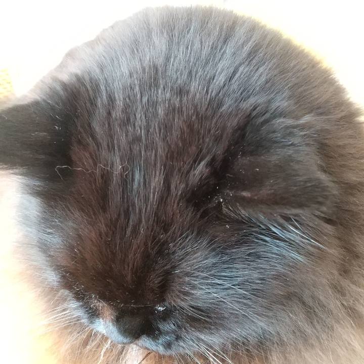 4bf1a81a 8146 45d3 9b56 04be773de9b4 1698973137721