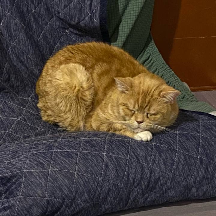 4bf1e31b b0ab 48d7 88d7 fc45ab9bd61c 1643807728823