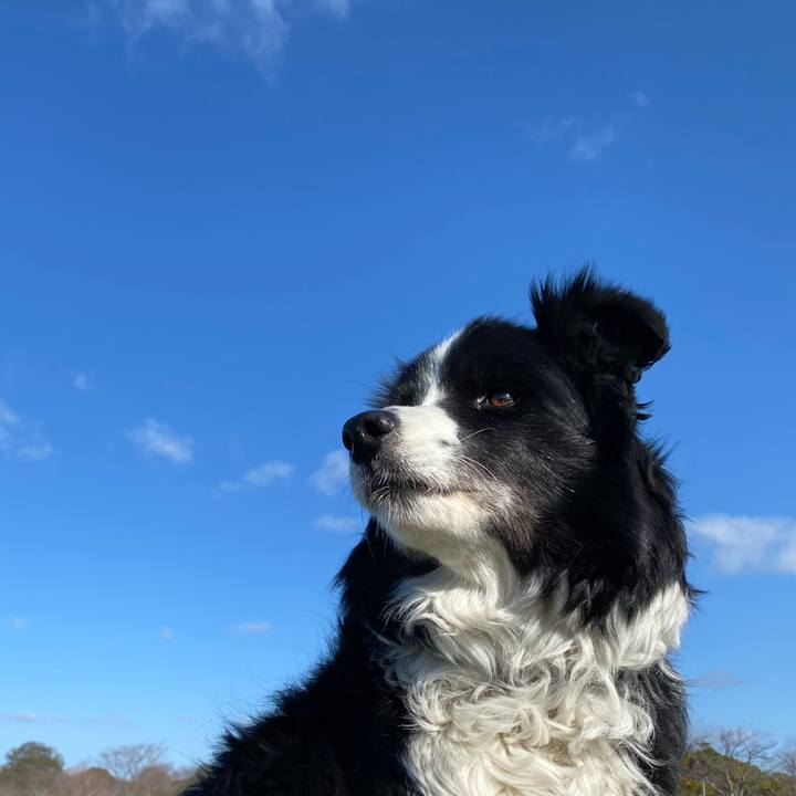 4bf214d2 1bd0 4291 8a2f ebb78dcf2bc6 1614731182817