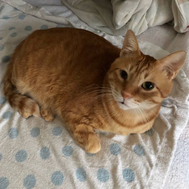 4bf21d0b 6015 4507 b910 c056b5082ddf 1573222331702