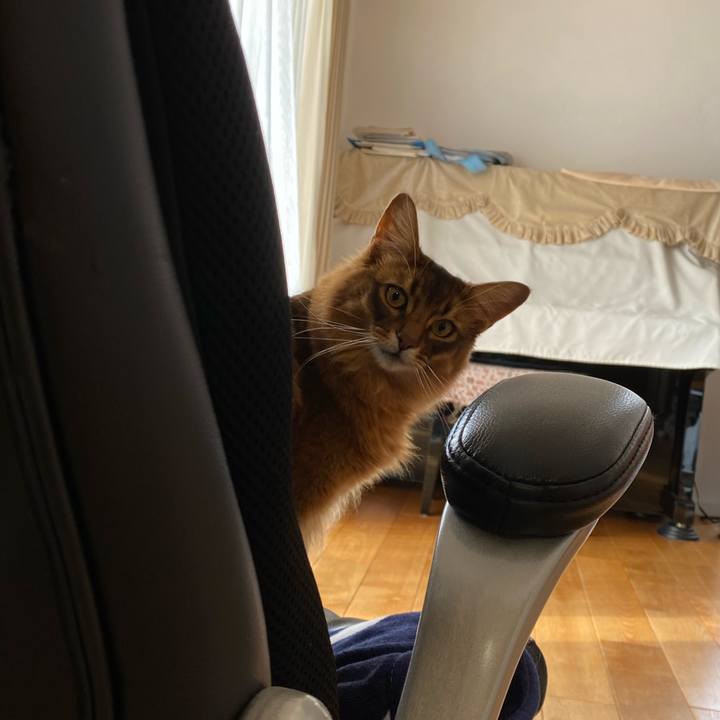 4bf25124 faf6 4221 be94 5d7dde752188 1642816175271